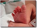 DSCN1526.JPG