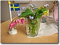 DSCN1538.JPG